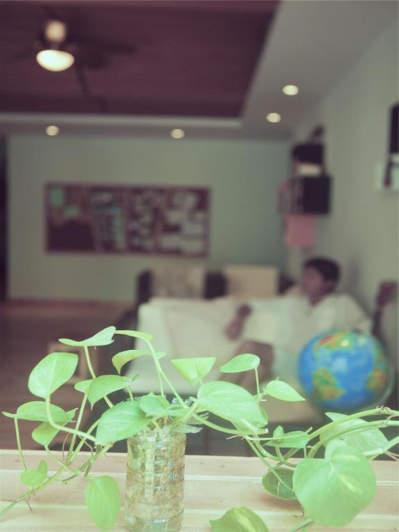 Sanya Bluesky International Youth Hostel Kültér fotó